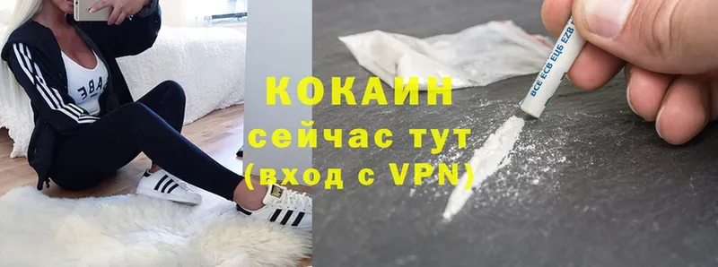 как найти наркотики  Курчалой  darknet формула  Cocaine FishScale 